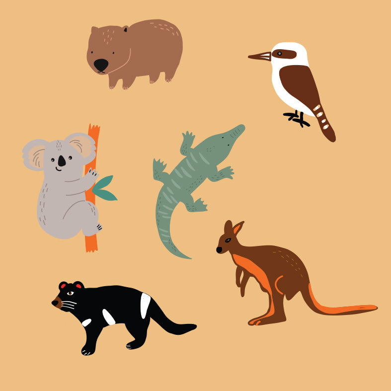 6 x Aussie Chino Charms